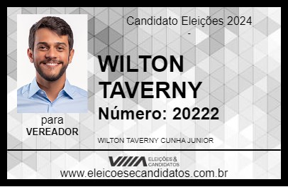 Candidato WILTON TAVERNY 2024 - XINGUARA - Eleições