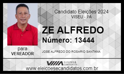 Candidato ZE ALFREDO 2024 - VISEU - Eleições