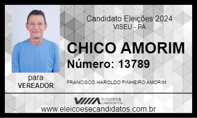 Candidato CHICO AMORIM 2024 - VISEU - Eleições