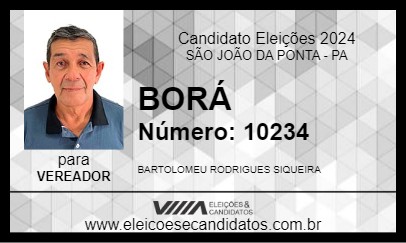 Candidato BORÁ 2024 - SÃO JOÃO DA PONTA - Eleições