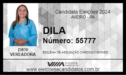 Candidato DILA 2024 - AVEIRO - Eleições