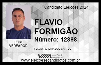 Candidato FLAVIO FORMIGÃO 2024 - XINGUARA - Eleições