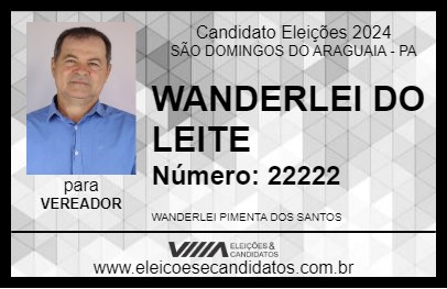 Candidato WANDERLEI DO LEITE 2024 - SÃO DOMINGOS DO ARAGUAIA - Eleições