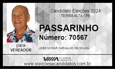 Candidato PASSARINHO 2024 - TERRA ALTA - Eleições