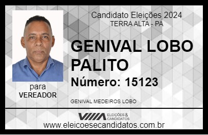 Candidato GENIVAL LOBO PALITO 2024 - TERRA ALTA - Eleições