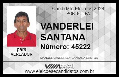 Candidato VANDERLEI SANTANA 2024 - PORTEL - Eleições