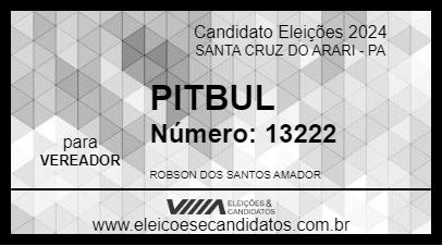 Candidato PITBUL 2024 - SANTA CRUZ DO ARARI - Eleições