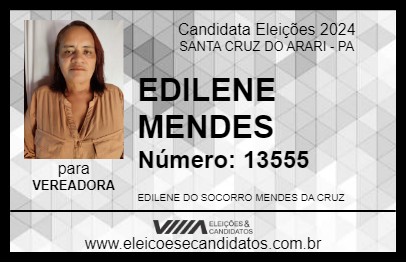 Candidato EDILENE MENDES 2024 - SANTA CRUZ DO ARARI - Eleições