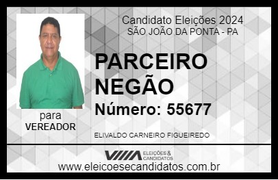 Candidato PARCEIRO NEGÃO 2024 - SÃO JOÃO DA PONTA - Eleições