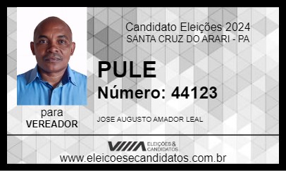 Candidato PULE 2024 - SANTA CRUZ DO ARARI - Eleições