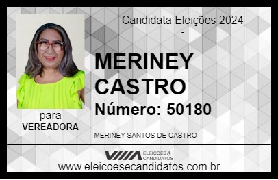 Candidato MERINEY CASTRO 2024 - ANANINDEUA - Eleições