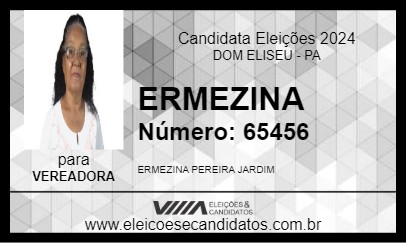 Candidato ERMEZINA 2024 - DOM ELISEU - Eleições