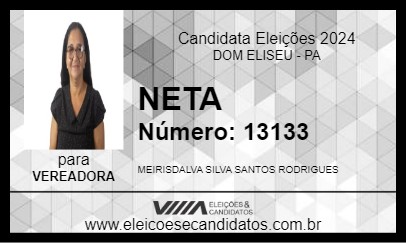 Candidato NETA 2024 - DOM ELISEU - Eleições