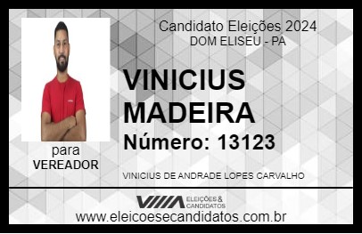 Candidato VINICIUS MADEIRA 2024 - DOM ELISEU - Eleições