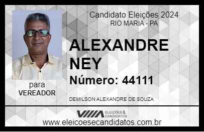 Candidato ALEXANDRE NEY 2024 - RIO MARIA - Eleições