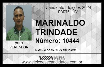 Candidato MARINALDO TRINDADE 2024 - PORTEL - Eleições