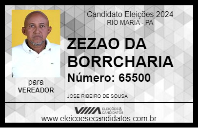 Candidato ZEZAO DA BORRCHARIA 2024 - RIO MARIA - Eleições