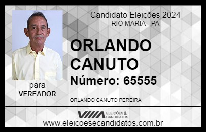 Candidato ORLANDO CANUTO 2024 - RIO MARIA - Eleições