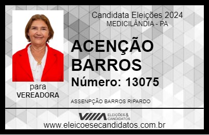 Candidato ACENÇÃO BARROS 2024 - MEDICILÂNDIA - Eleições