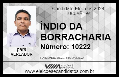 Candidato ÍNDIO DA BORRACHARIA 2024 - TUCUMÃ - Eleições