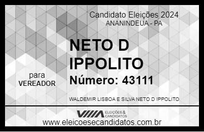 Candidato NETO D IPPOLITO 2024 - ANANINDEUA - Eleições