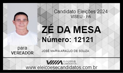 Candidato ZÉ DA MESA 2024 - VISEU - Eleições