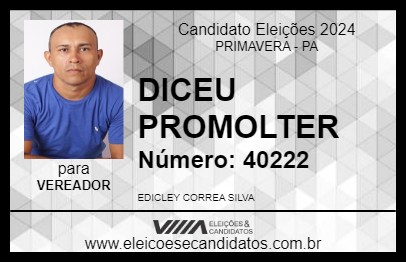 Candidato DICEU PROMOLTER 2024 - PRIMAVERA - Eleições