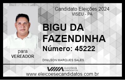 Candidato BIGU DA FAZENDINHA 2024 - VISEU - Eleições