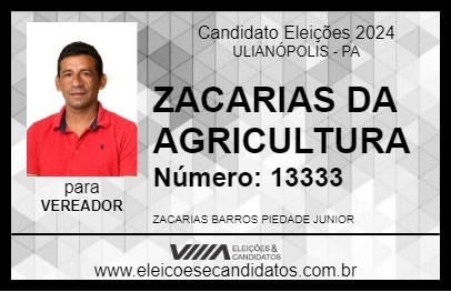 Candidato ZACARIAS DA AGRICULTURA 2024 - ULIANÓPOLIS - Eleições