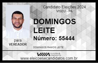 Candidato DOMINGOS LEITE 2024 - VISEU - Eleições