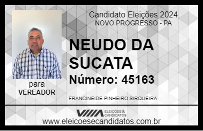 Candidato NEUDO DA SUCATA 2024 - NOVO PROGRESSO - Eleições