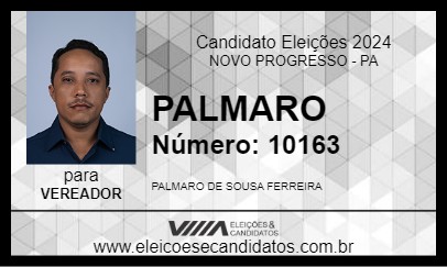 Candidato PALMARO 2024 - NOVO PROGRESSO - Eleições