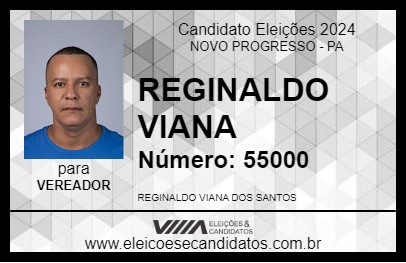 Candidato REGINALDO VIANA 2024 - NOVO PROGRESSO - Eleições