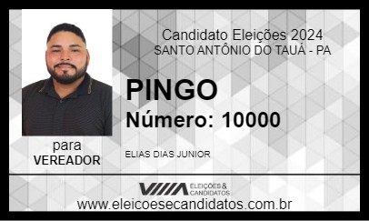 Candidato PINGO 2024 - SANTO ANTÔNIO DO TAUÁ - Eleições