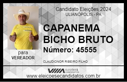 Candidato CAPANEMA BICHO BRUTO 2024 - ULIANÓPOLIS - Eleições