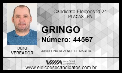 Candidato GRINGO 2024 - PLACAS - Eleições