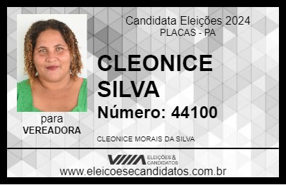 Candidato CLEONICE SILVA 2024 - PLACAS - Eleições