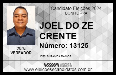 Candidato JOEL DO ZE CRENTE 2024 - BONITO - Eleições