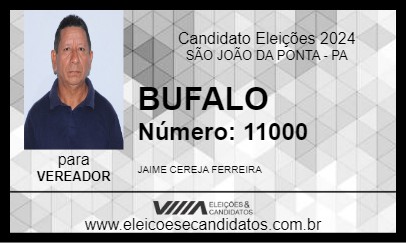 Candidato BUFALO 2024 - SÃO JOÃO DA PONTA - Eleições