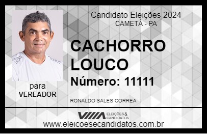 Candidato CACHORRO LOUCO 2024 - CAMETÁ - Eleições