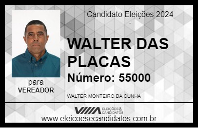 Candidato WALTER DAS PLACAS 2024 - RIO MARIA - Eleições