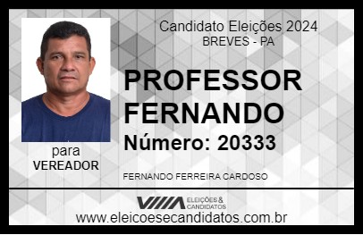 Candidato PROFESSOR FERNANDO 2024 - BREVES - Eleições