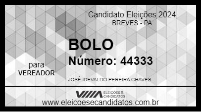 Candidato BOLO 2024 - BREVES - Eleições