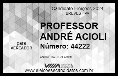 Candidato PROFESSOR ANDRÉ ACIOLI 2024 - BREVES - Eleições