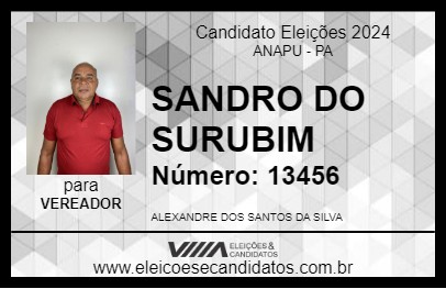 Candidato SANDRO DO SURUBIM 2024 - ANAPU - Eleições