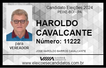 Candidato HAROLDO CAVALCANTE 2024 - PEIXE-BOI - Eleições