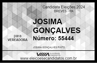 Candidato JOSE GONÇALVES 2024 - BREVES - Eleições