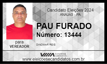 Candidato PAU FURADO 2024 - ANAJÁS - Eleições