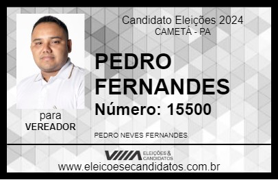 Candidato PEDRO FERNANDES 2024 - CAMETÁ - Eleições