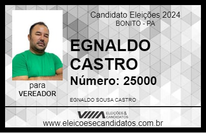 Candidato EGNALDO CASTRO 2024 - BONITO - Eleições